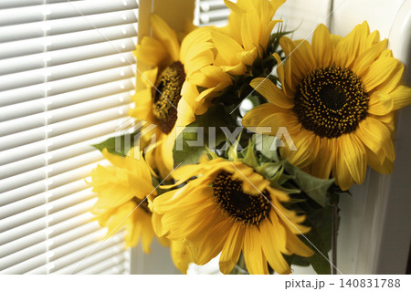 Sunflowers bouquet placed next to window blinds in bright daylight 140831788