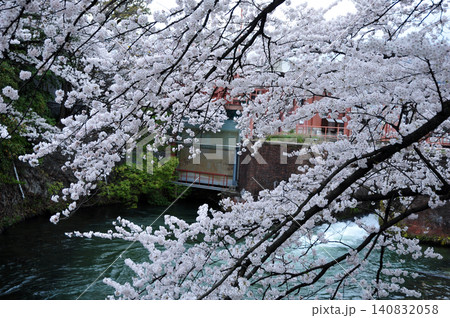 夷川発電所の桜 140832058