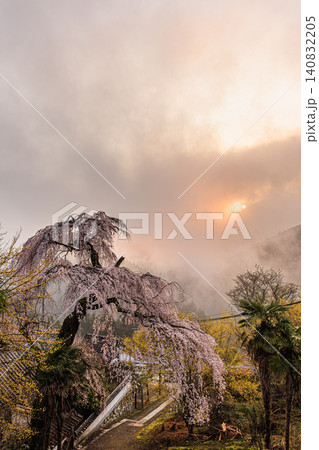 霧に包まれた山里の寺院に静かに佇む見事な一本桜と昇る朝日 霧に包まれた山里の寺院に静かに佇む見事な一本桜と昇る朝日 140832205