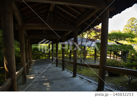 東福寺 開山堂から通天橋に続く静かな廻廊2 東福寺 開山堂から通天橋に続く静かな廻廊2 140832253