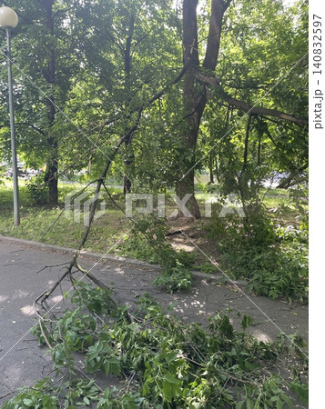 Fallen tree branches block a park pathway during summer, with abundant green foliage background Fallen tree branches block a park pathway during summer, with abundant green foliage background 140832597