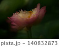 まどろみ 140832873