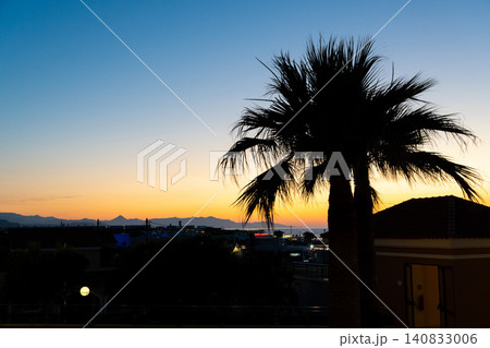 Silhouette of palm tree at tropical resort during orange sunset Silhouette of palm tree at tropical resort during orange sunset 140833006