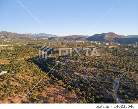 Aerial panoramic view of olive grove plantation in Mediterranean hills Aerial panoramic view of olive grove plantation in Mediterranean hills 140833040