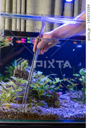 Aquarium care and routine cleaning maintenance process Aquarium care and routine cleaning maintenance process 140833084