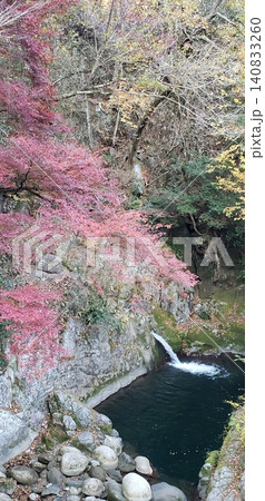 渓谷の切り立った岩壁に映える真紅の紅葉と小滝・深い淵の秋景色 140833260