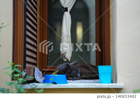 Sleeping Cat Relaxing on a Cozy Windowsill Sleeping Cat Relaxing on a Cozy Windowsill 140833402