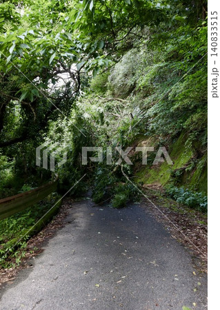 倒木で塞がれた山道 佐賀県 倒木で塞がれた山道 佐賀県 140833515