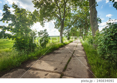 A road made of concrete slabs in the countryside in Poland A road made of concrete slabs in the countryside in Poland 140834091