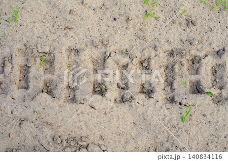 Tire track texture on sand background show an top view. Deep tread mark from a big tractor wheel is left on dry soil road surface Tire track texture on sand background show an top view. Deep tread mark from a big tractor wheel is left on dry soil road surface 140834116