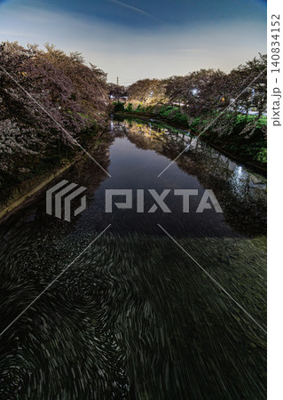静寂な夜の川面を流れるサクラの流線と両岸を優しく包み込む満開の夜桜景色 140834152