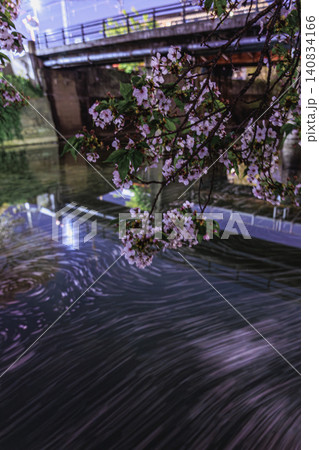 散った桜の花びらが水面で美しい渦を描く情緒豊かな春の夜景色 散った桜の花びらが水面で美しい渦を描く情緒豊かな春の夜景色 140834166