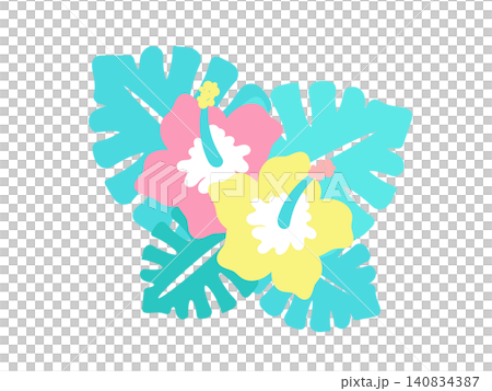 芙蓉花和龜背竹插圖 140834387
