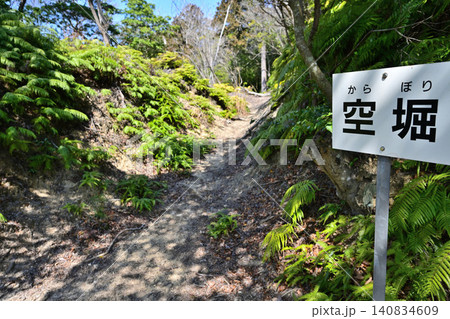 阿波国 徳島市「一宮城」の石垣と曲輪の様子 阿波国 徳島市「一宮城」の石垣と曲輪の様子 140834609