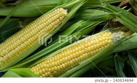 Fresh sweet corn cobs on rustic wood. Whole corn with bright yellow kernels. Organic farm produce for healthy meals Fresh sweet corn cobs on rustic wood. Whole corn with bright yellow kernels. Organic farm produce for healthy meals 140834694