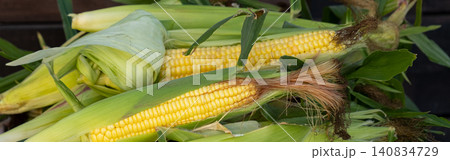 Fresh sweet corn cobs on rustic wood. Whole corn with bright yellow kernels. Organic farm produce for healthy meals Fresh sweet corn cobs on rustic wood. Whole corn with bright yellow kernels. Organic farm produce for healthy meals 140834729