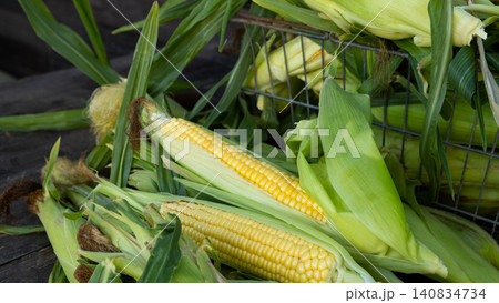 Fresh sweet corn cobs on rustic wood. Whole corn with bright yellow kernels. Organic farm produce for healthy meals Fresh sweet corn cobs on rustic wood. Whole corn with bright yellow kernels. Organic farm produce for healthy meals 140834734