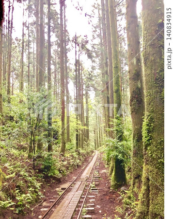 屋久島 140834915