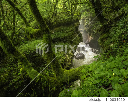 In the lush wilderness of the Martville Canyon in Georgia 140835020