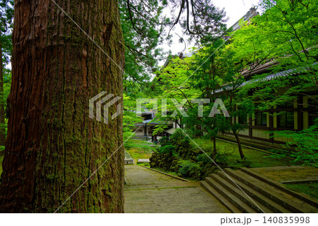 永平寺　境内の景観　傘松閣など 140835998