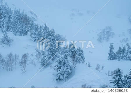 冬霧に包まれた十勝の雪化粧した森 冬霧に包まれた十勝の雪化粧した森 140836028