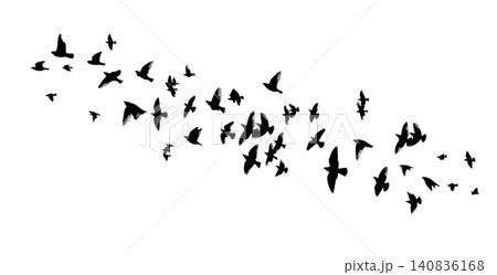 Flying birds silhouette flock. hand drawing. Not AI. Vector illustration 140836168