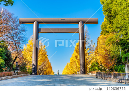 東京 靖国神社 大鳥居とイチョウ並木 東京 靖国神社 大鳥居とイチョウ並木 140836733