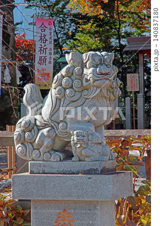 川越八幡宮(川越) 川越八幡宮(川越) 140837180
