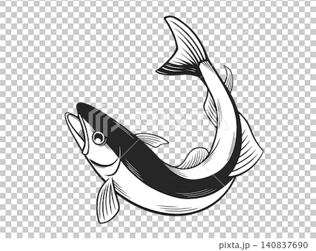 香魚(Ayu)是一種生活在水質清澈的河流中的魚類。 香魚(Ayu)是一種生活在水質清澈的河流中的魚類。 140837690