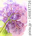 見上げた先に広がる紫陽花の美しい世界 140837726