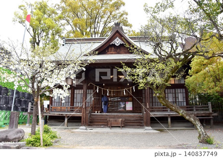 熊本市 熊本大神宮本殿と新緑 熊本市 熊本大神宮本殿と新緑 140837749
