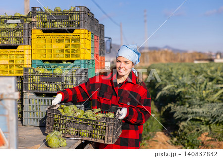 Hardworking young woman farmer loads crates with artichokes Hardworking young woman farmer loads crates with artichokes 140837832