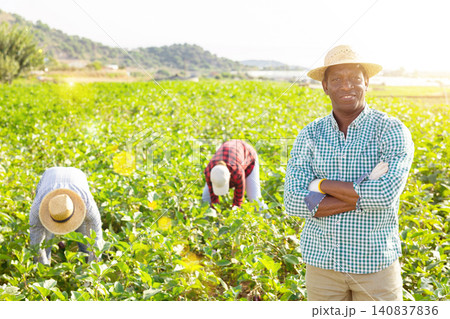 Portrait of cheerful man gardener posing on vegetable plantation Portrait of cheerful man gardener posing on vegetable plantation 140837836