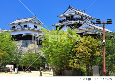 【愛媛県】松山城(現存12天守) 【愛媛県】松山城(現存12天守) 140837989