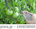 トマトの苗に肥料を施す 140838000