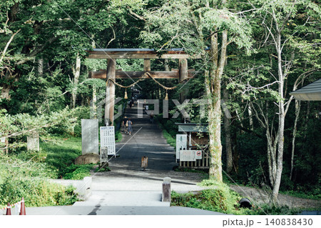 【長野市戸隠】戸隠神社　奥社　参道入口 140838430