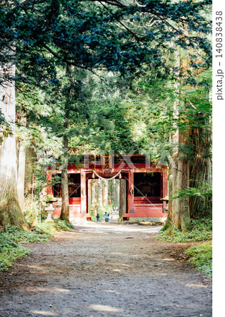 【長野市戸隠】戸隠神社奥社　随神門と杉並木の風景 140838438