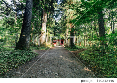 【長野市戸隠】戸隠神社奥社　随神門と杉並木の風景 140838440