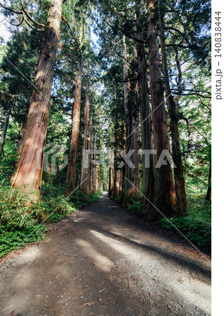 【長野市戸隠】戸隠神社奥社 参道の杉並木の風景 【長野市戸隠】戸隠神社奥社 参道の杉並木の風景 140838444