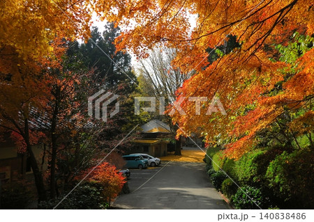秋色に染まる播州清水寺:駐車場周辺の紅葉 秋色に染まる播州清水寺:駐車場周辺の紅葉 140838486