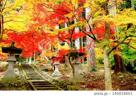 清水寺の紅葉 清水寺の紅葉 140838601