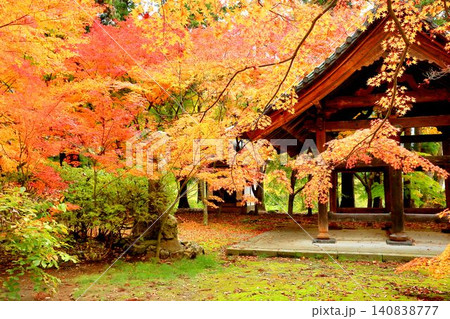 昌禅寺の紅葉 140838777