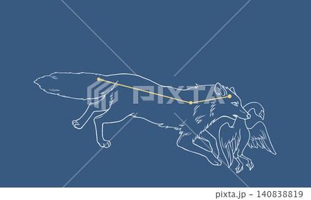 ネイビー色の背景に浮かぶこぎつね座の線画イラスト(白線の狐の絵とゴールド色の星座線) ネイビー色の背景に浮かぶこぎつね座の線画イラスト(白線の狐の絵とゴールド色の星座線) 140838819