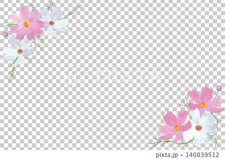 水彩畫波斯菊花框材料 水彩畫波斯菊花框材料 140839512