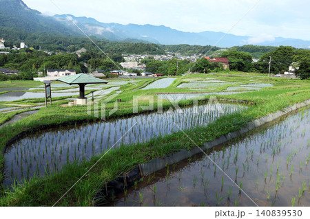横瀬町 寺坂棚田 横瀬町 寺坂棚田 140839530