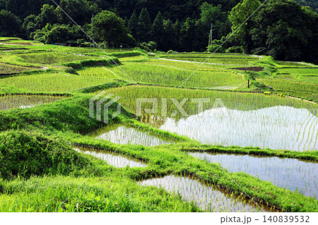 横瀬町 寺坂棚田 横瀬町 寺坂棚田 140839532