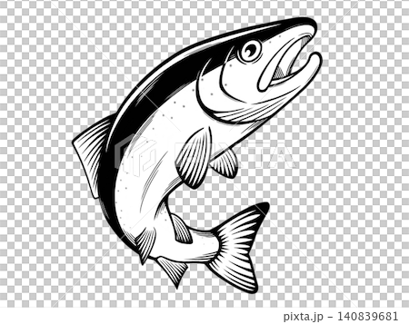 サーモンとして寿司でも大人気の魚の鮭(サケ)のイラスト サーモンとして寿司でも大人気の魚の鮭(サケ)のイラスト 140839681