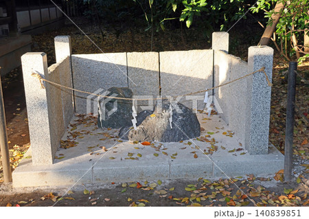 石神井氷川神社（練馬） 140839851