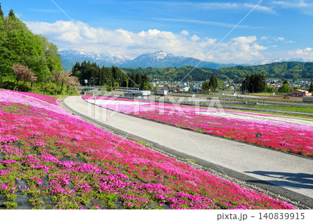 広がるお花畑と越後三山 広がるお花畑と越後三山 140839915