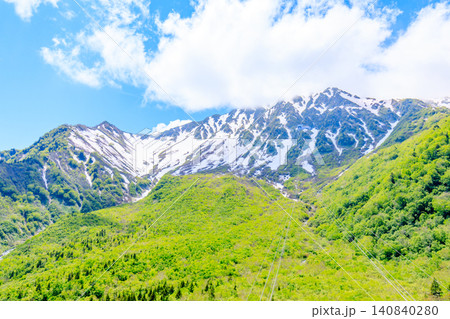初夏の黒部平から見た景色 富山県立山町 初夏の黒部平から見た景色 富山県立山町 140840280